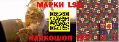 спиды Заводоуковск