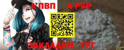 спиды Заводоуковск