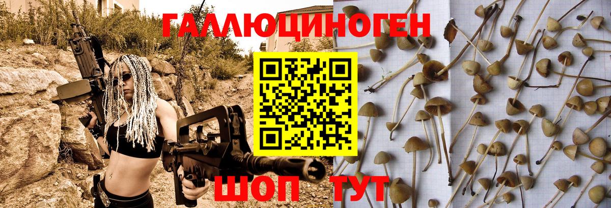 Галлюциногенные грибы прущие грибы  Вход с VPN  даркнет сайт  Фурманов  Псилоцибиновые грибы Cubensis 
